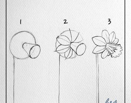 آموزش نقاشی گل مرحله به مرحله