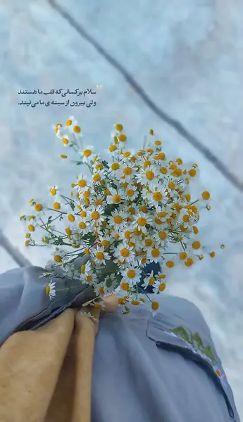 عکسهای کمیاب پروفایل طبیعت