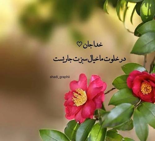 عکسهای کمیاب پروفایل طبیعت