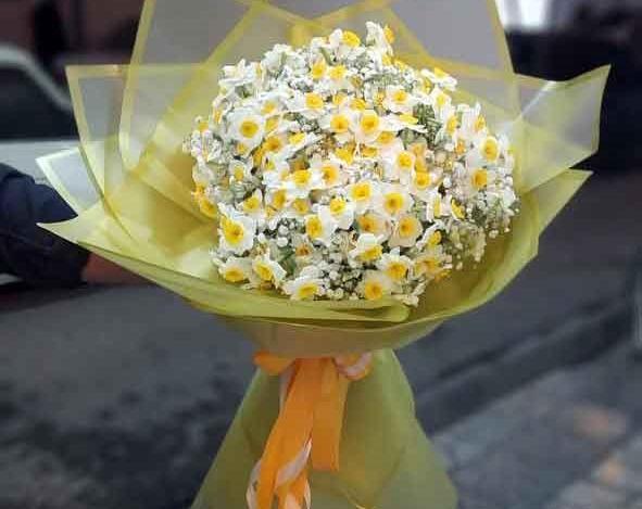 عکس نقاشی مینیمال گل نرگس