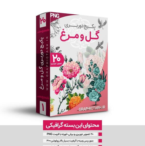 عکس نقاشی گل و مرغ با کیفیت بالا
