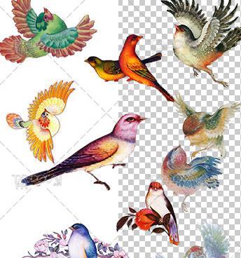 عکس نقاشی گل و مرغ ایرانی