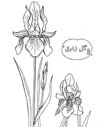 عکس نقاشی گل میخک کودکانه