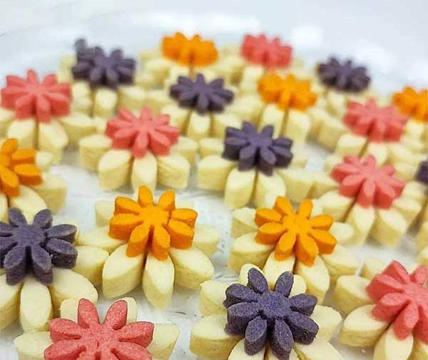عکس نقاشی گل مینا ساده
