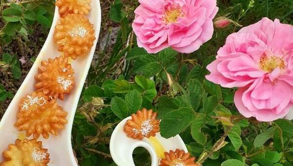عکس نقاشی گل مینا ساده