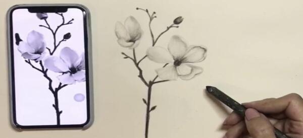 عکس نقاشی گل مینا