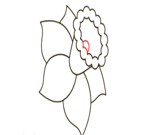 عکس نقاشی گل نرگس ساده