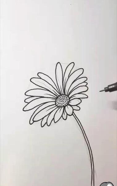 عکس نقاشی گل نقاشی گل آسان