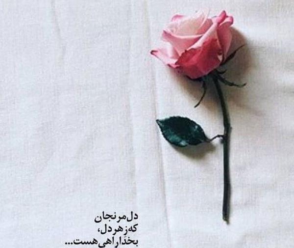عکسهای کمیاب پروفایل خدا جدید