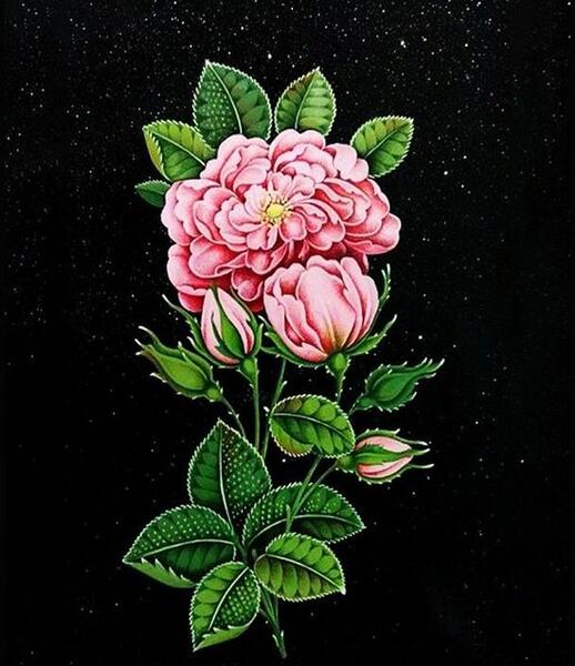 عکس نقاشی گل و مرغ به انگلیسی