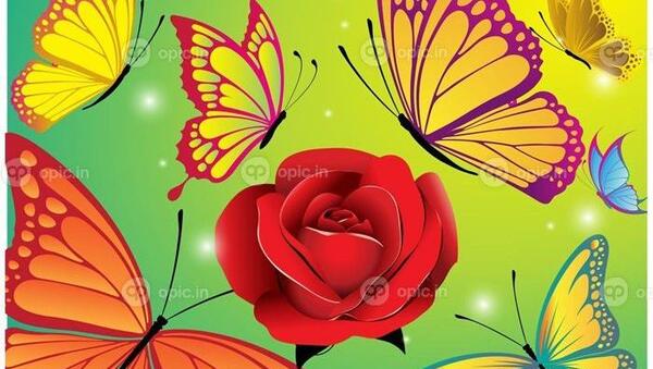 عکس نقاشی گل و پروانه زیبا