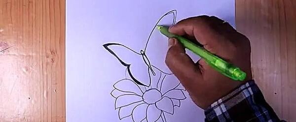 عکس نقاشی گل و پروانه زیبا