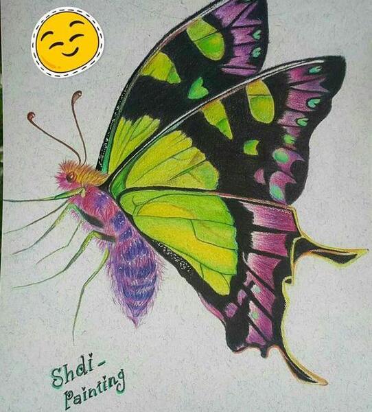 عکس نقاشی گل و پروانه با مداد رنگی