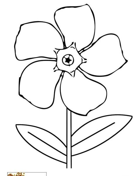 عکس نقاشی گل و گیاه برای کودکان