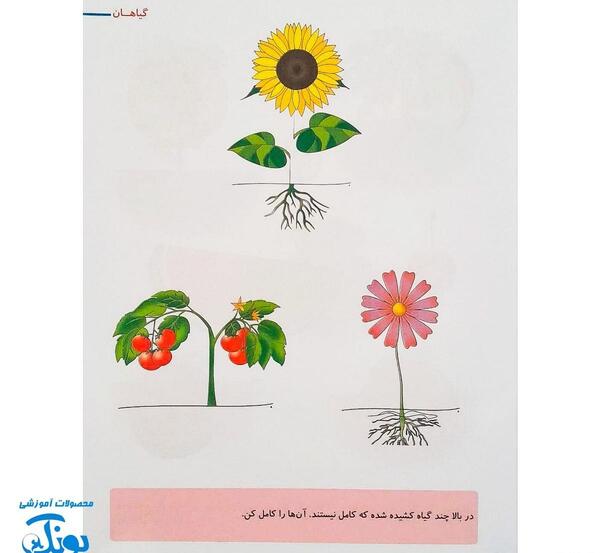 عکس نقاشی گل و گیاه برای کودکان