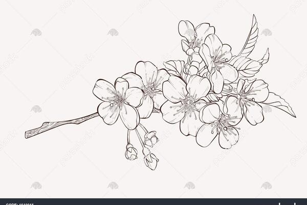 عکس نقاشی گل و درخت زیبا