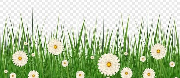 عکس نقاشی گل و درخت و چمن