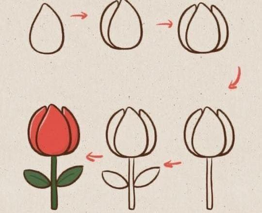 عکس نقاشی گل های مختلف مرحله به مرحله