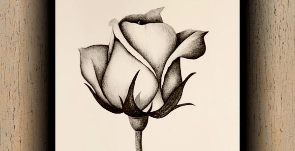 عکس نقاشی گل های مختلف مرحله به مرحله