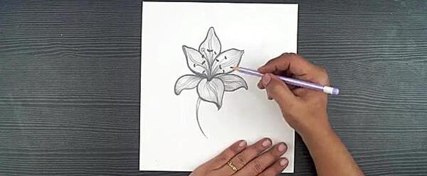 عکس اموزش نقاشی گل یاس ساده