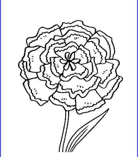 عکس نقاشی گل یخ کودکانه