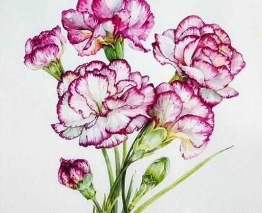 عکس نقاشی گل یخ کودکانه