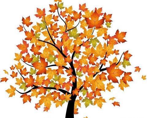 عکس نقاشی پاییزی دخترانه ساده