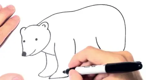عکس نقاشی دخترانه خرس آسان