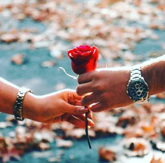 عکس دو نفره دست عاشقانه
