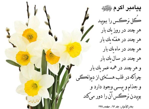 عکس دونفره با گل نرگس