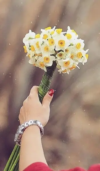 عکس دونفره با گل نرگس