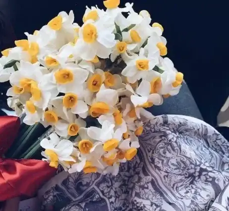 عکس دونفره با گل نرگس