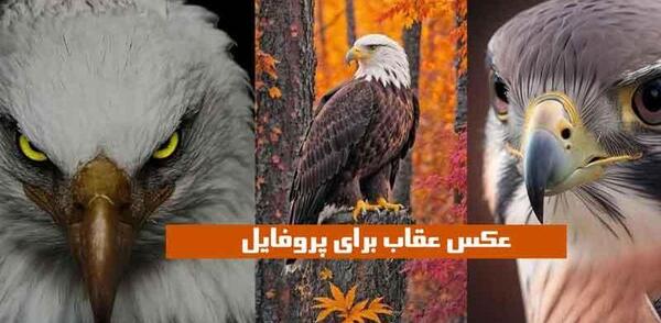 عکس ترسناک ترین عقاب دنیا