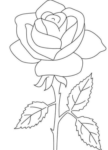 عکس نقاشی دخترانه گلی
