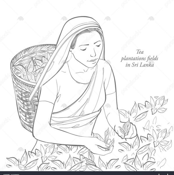 عکس نقاشی دخترانه میوه ها