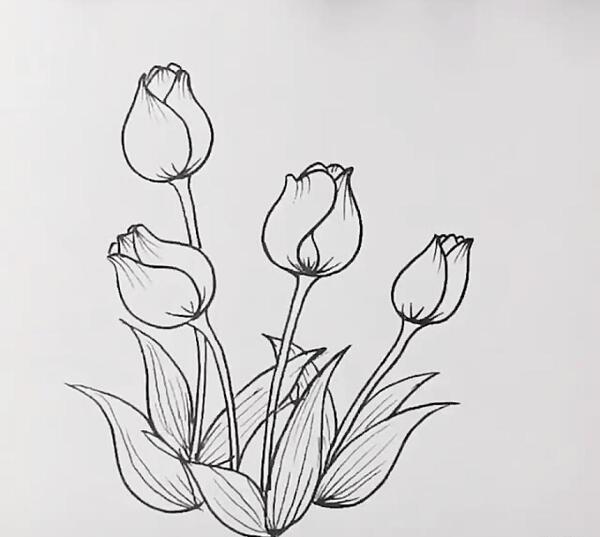 عکس طرح نقاشی خام گل