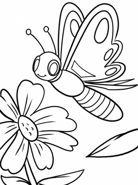 عکس طرح خام ساده برای نقاشی