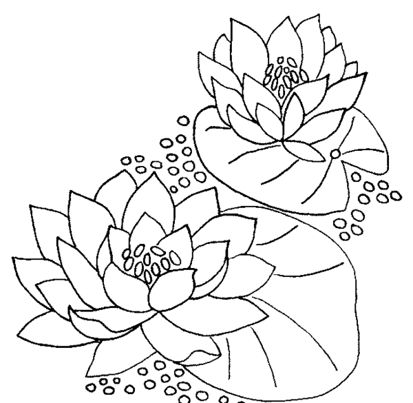 عکس طرح خام نقاشی روی پارچه ساده