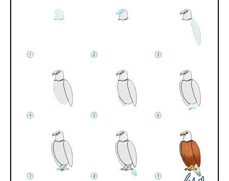 عکس طرح پرنده ساده برای نقاشی