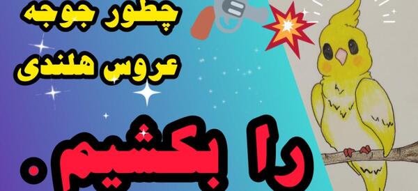عکس طرح عروس هلندی برای نقاشی