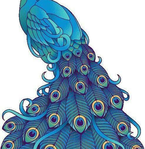 عکس طرح طاووس نقاشی روی پارچه