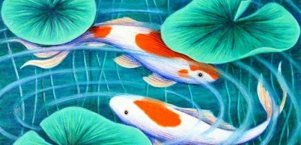 عکس طرح زیبا برای نقاشی با مداد رنگی