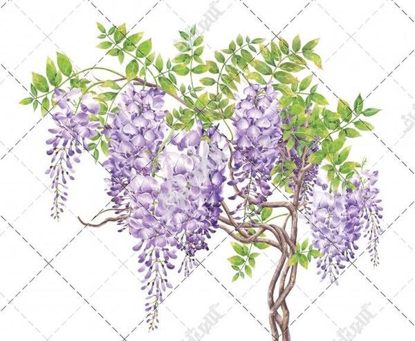 عکس طرح نقاشی برگ درخت انگور