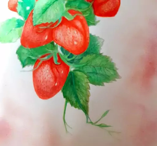 عکس طرح توت فرنگی برای نقاشی