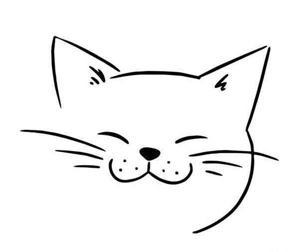 عکس نقاشی دخترانه گربه کیوت