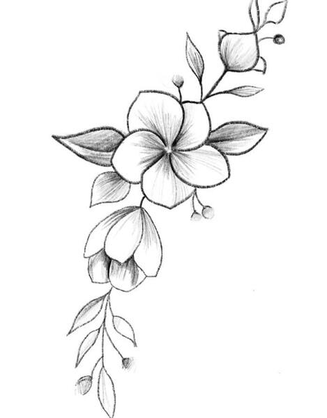 عکس نقاشی گل های ساده