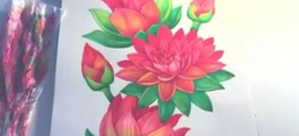 عکس نقاشی گل نیلوفر سخت