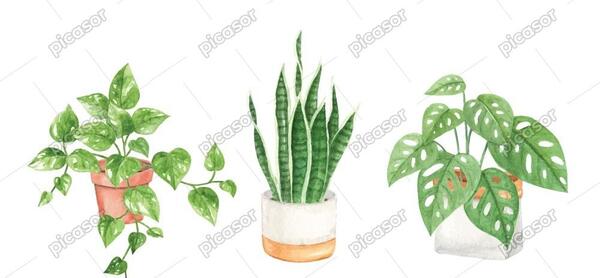 عکس نقاشی گیاه و گل