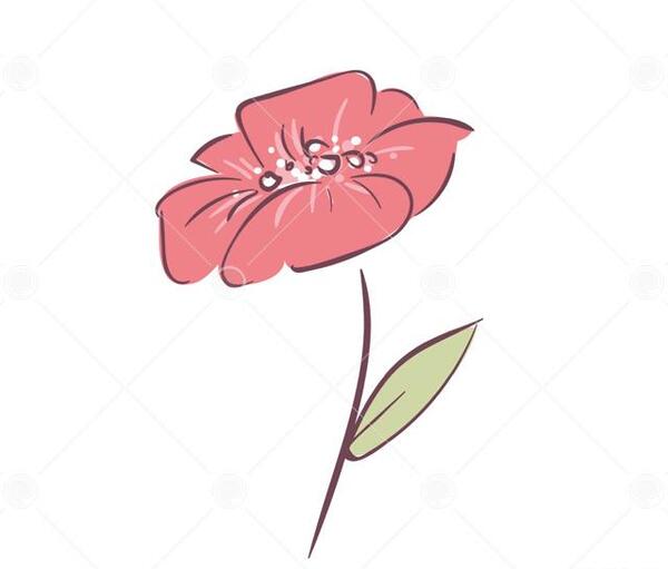 عکس نقاشی گل زیبای قرمز