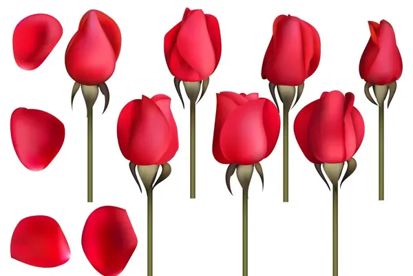 عکس نقاشی گل غنچه ساده